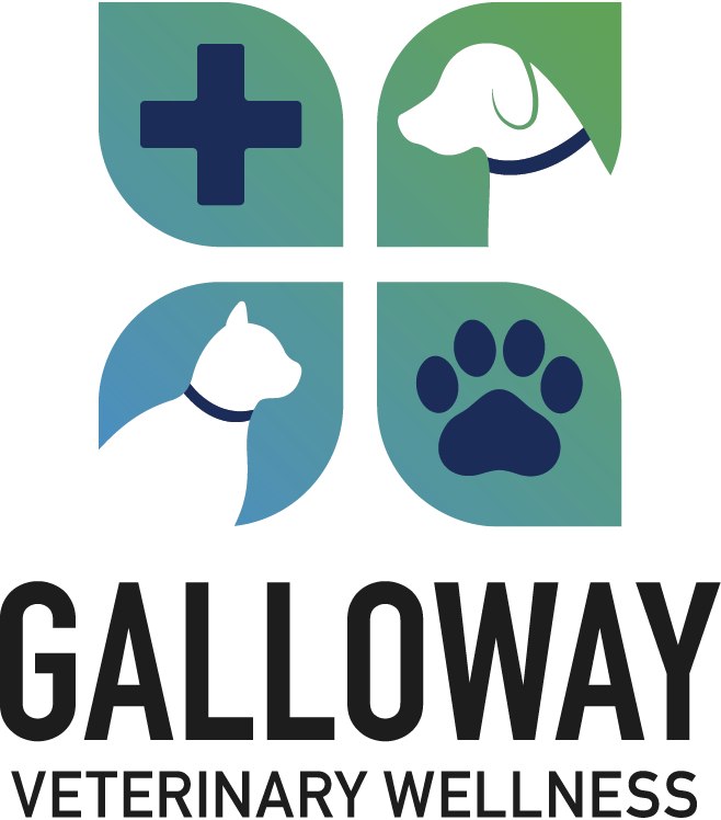 Galloway Veterinary Wellness